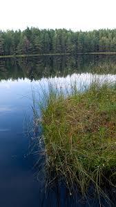 Rezerwat przyrody Tobolinka